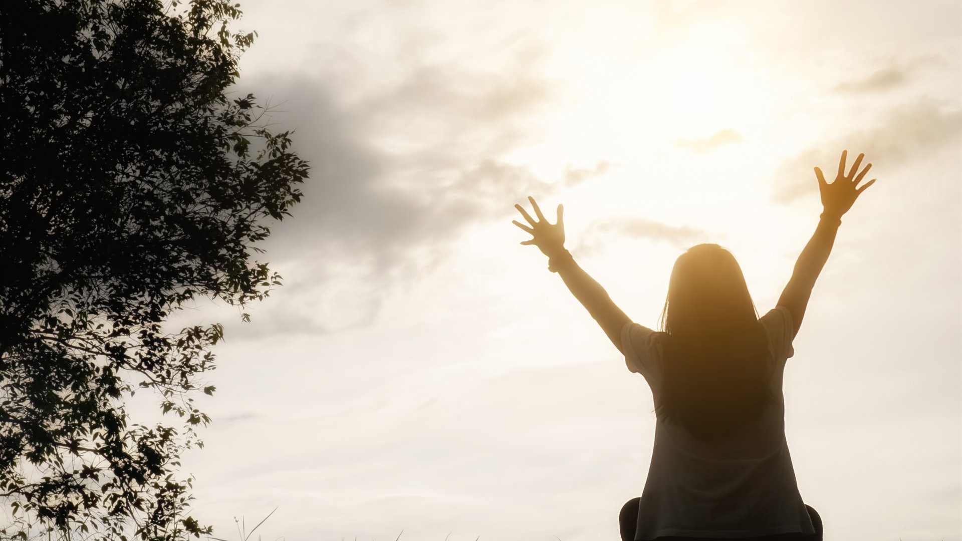 따뜻한 빛 속 위로와 회복을 상징하는 장면